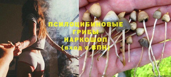 круглые Армянск